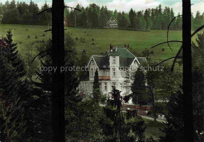 Altenau Harz Gemkenthal Niedersachsen Pension-Mecklenburg Villa Tannenwald Wiese