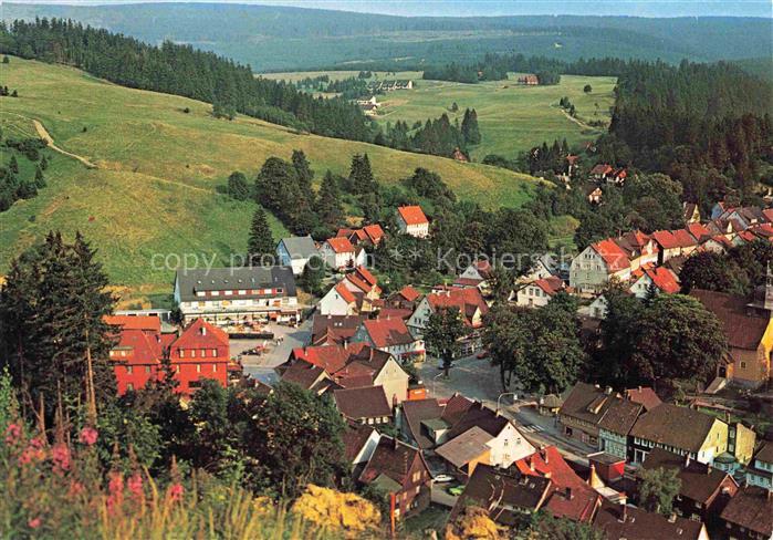 Altenau Harz Gemkenthal Niedersachsen Ortsmitte Rote-Daecher Bergwiesen Nadelwal