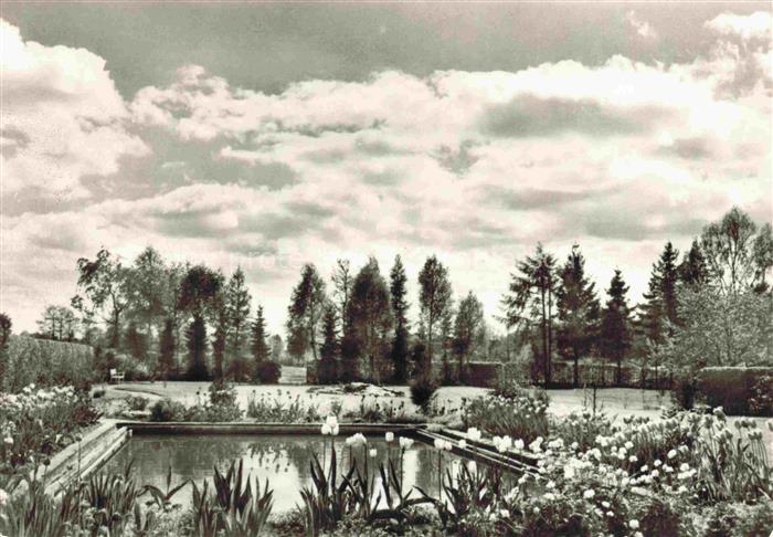 Bad Bevensen UELZEN Niedersachsen Kurgarten Teich Iris Blumen Baeume Wolken Schw