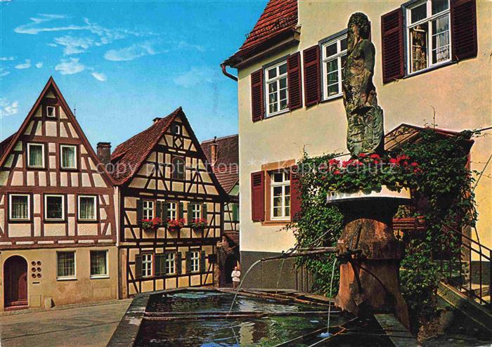 Marbach Neckar Schillers-Geburtshaus Wilder-Mann-Brunnen Fachwerk Brunnen Skulpt