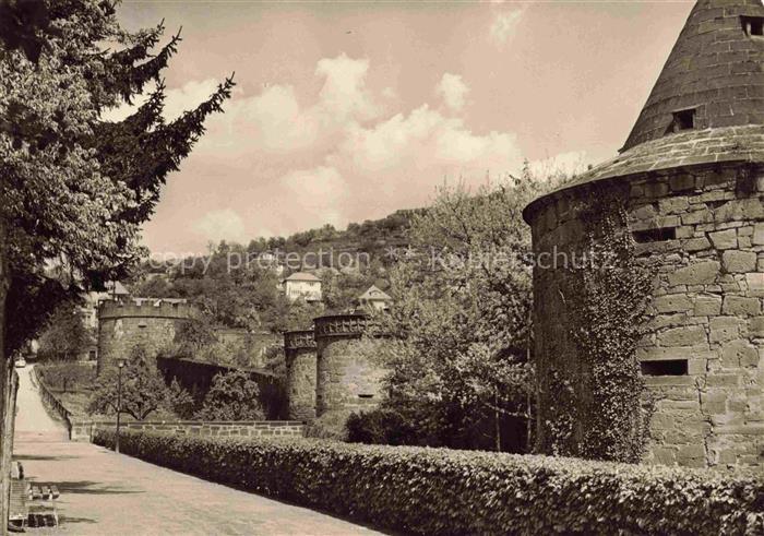 Buedingen Hessen Stadtmauer Lohsteg Rundturm Lindentor Juedischgaesser-Tor Hecke