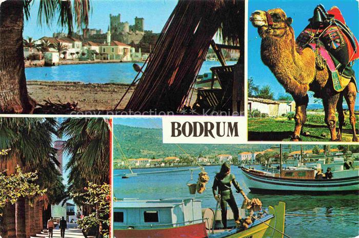 Bodrum Mugla TK Burg Hafen Kamel Strassenszene Mehrbildkarte Kueste Mittelmeer