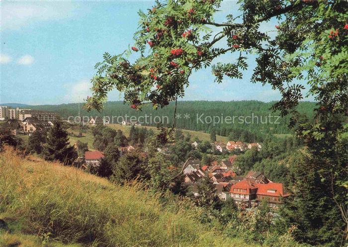 Altenau Harz Gemkenthal Niedersachsen Stadtansicht Waldlandschaft Harz Vogelbeer