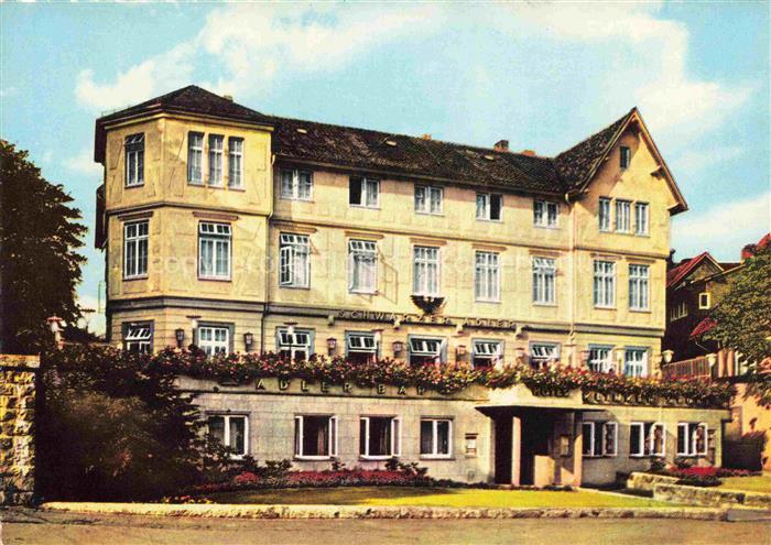 GOSLAR Harz Niedersachsen Hotel-Schwarzer-Adler Fassade Blumen Eingangsbereich H
