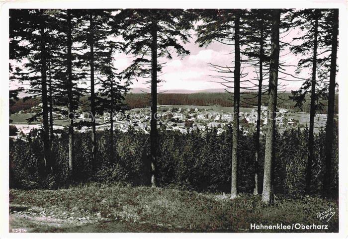 Hahnenklee-Bockswiese Harz Ortschaft Nadelwald Harz Blick Tannenbaeume