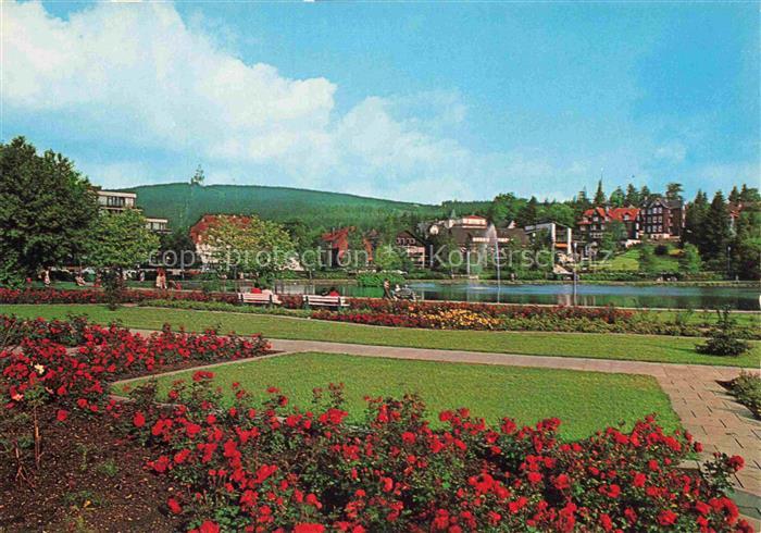 Hahnenklee-Bockswiese Harz Kurpark Rosengarten Teich Fontaene Huegel Kurort Ober