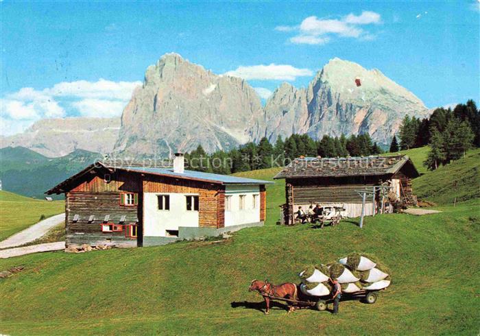 Seiser Alm Seiseralm Seiseralpe Alpe di Siusi Trentino IT Seiser-Alm Ritsch-Schw