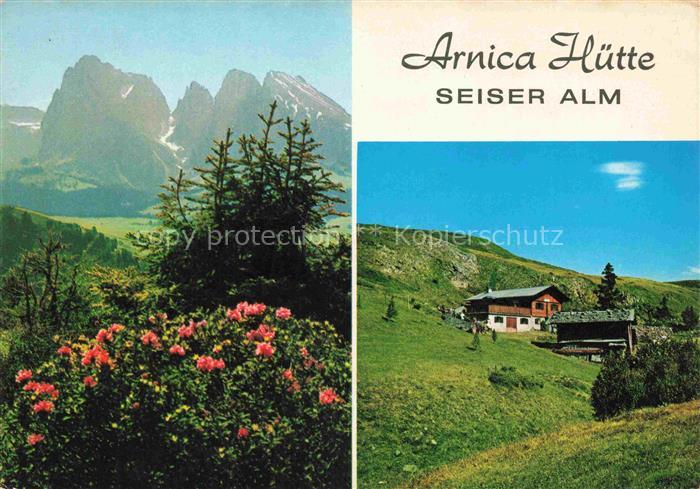 Arnica-Huette Seiser Alm Seiseralm Seiseralpe Alpe di Siusi Trentino IT Arnica-H