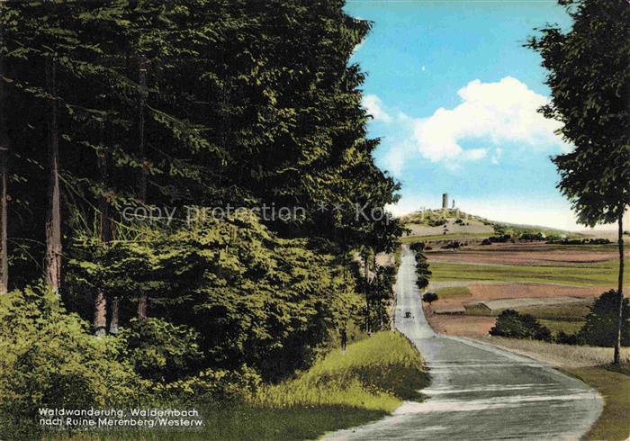 Waldernbach Westerwald Mengerskirchen Hessen Waldweg Turm Landschaft Huegel West