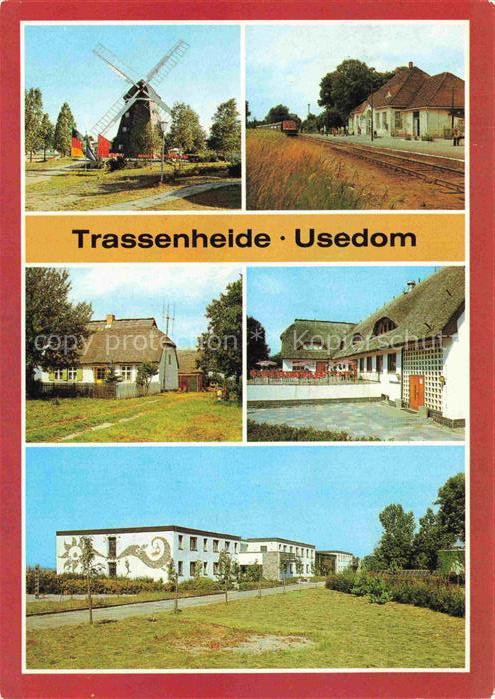 Trassenheide Usedom Windmuehle Jugenderholungszentrum Bauernhaus Waldhof Ferienh