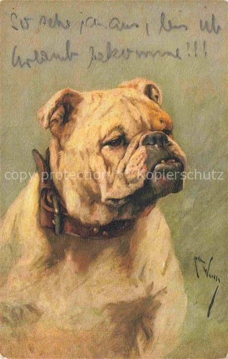 HUNDE dogs chiens--