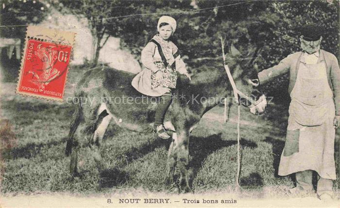 Esel Donkey Ane Burro Asno Asino-- Nout Berry Trois bons amis