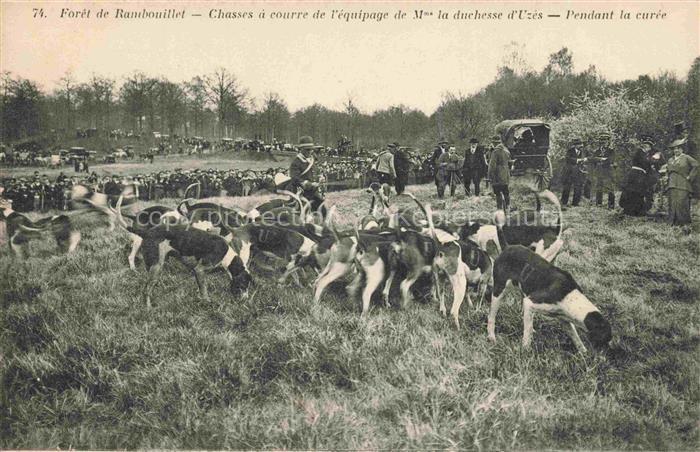 Jagd Chasse Hunting-- Foret de Rambouillet Hunde