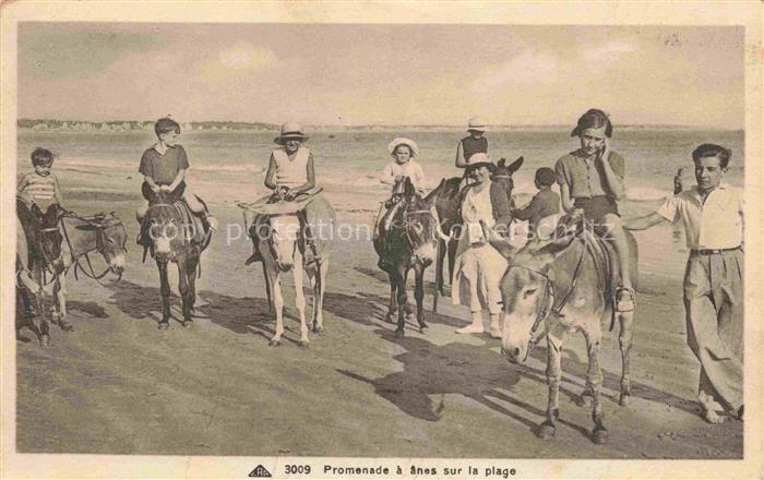 Esel Donkey Ane Burro Asno Asino-- Promenade a la Plage Dieppe