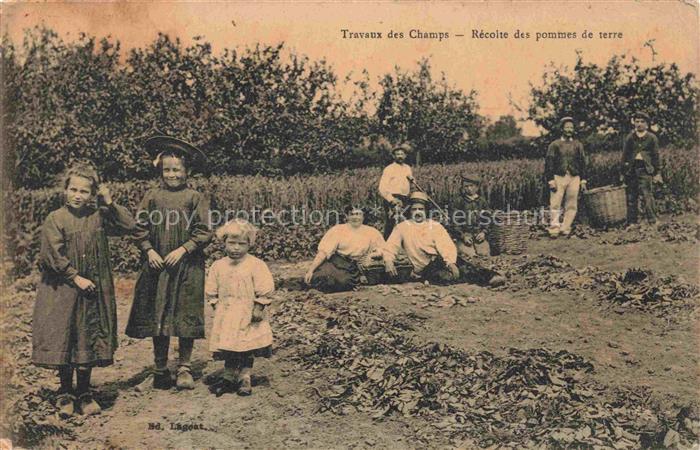 Landwirtschaft Agriculturo Agriculture-- Travaux des Champs Pommes de terre Kart