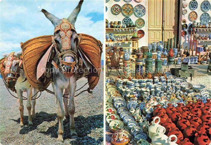 Esel Donkey Ane Burro Asno Asino-- Bailen Artesania Local Espana