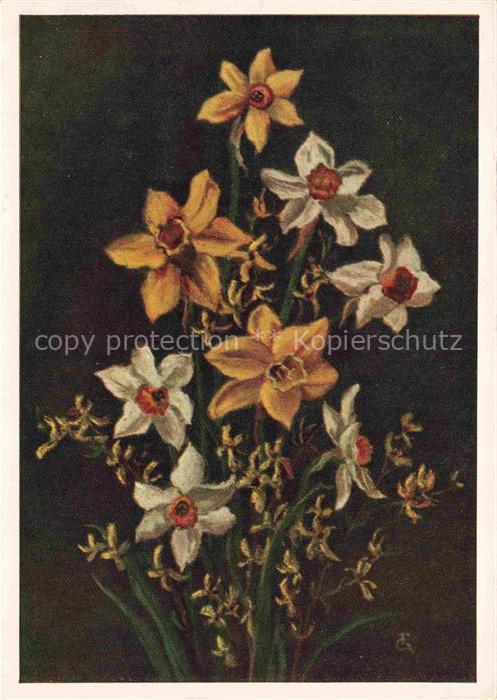 GRIESE Friedrich Kuenstlerkarte Kiel Narzissen und Forsythien Schleswig Holstein