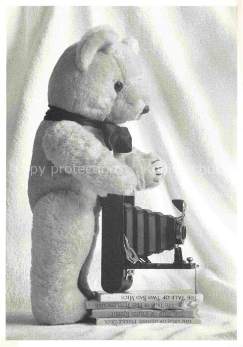 Teddybaer Teddy Teddy-bear Kamera