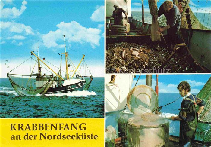 Fischerei Fishing Peche-- Krabbenfang an der Nordseekueste