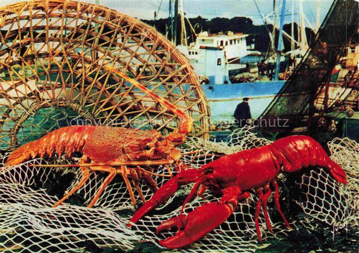 Hummer Homard Rak-- La recette du Homard Grille