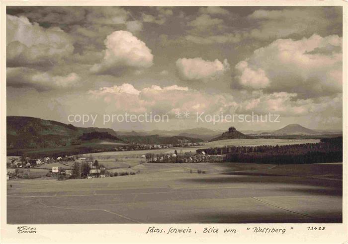 Foto Hahn Nr. 13425 Saechs. Schweiz Wolfsberg Dresden