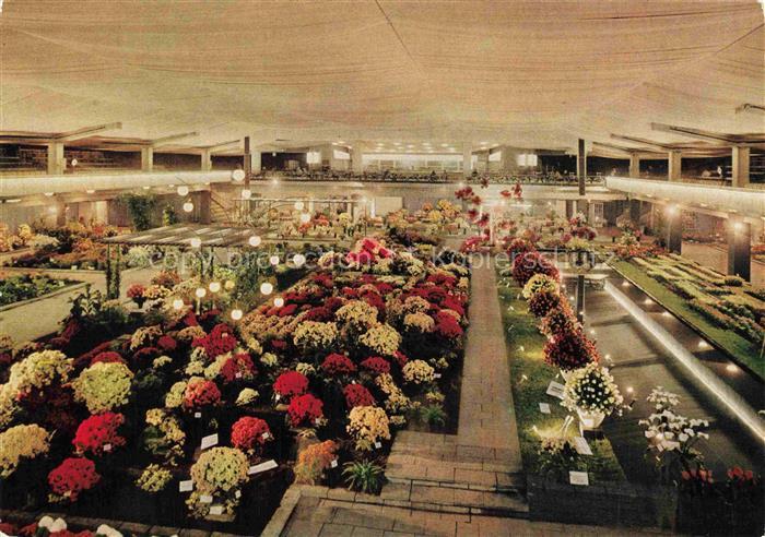 IGA Gartenbauaustellung International Hamburg Hallen Blumen Flower Exhibition Ex