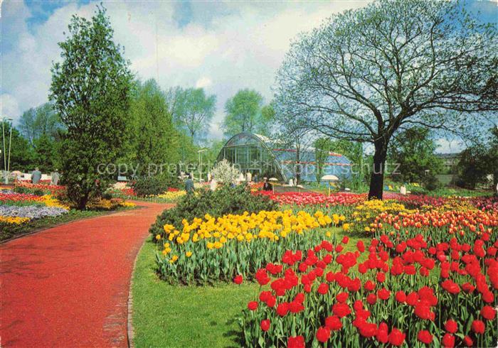 IGA Gartenbauaustellung International Hamburg Bluetenmeer am Tulpenhaus