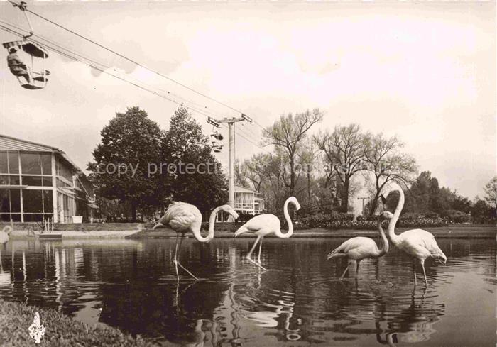 BUGA Bundesgartenschau Koeln Flamingo Teich Sesselbahn