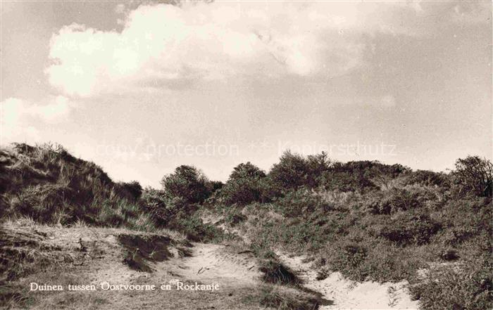 Oostvoorne aan Zee NL Duinen tussen en Rockanje