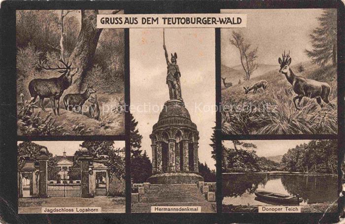 Teutoburgerwald Lippe NRW Rotwild Jagdschloss Lopshorn Hermannsdenkmal Donoper T