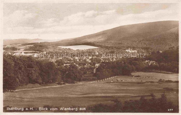 Ilsenburg Harz Sachsen-Anhalt Blick vom Weinberg