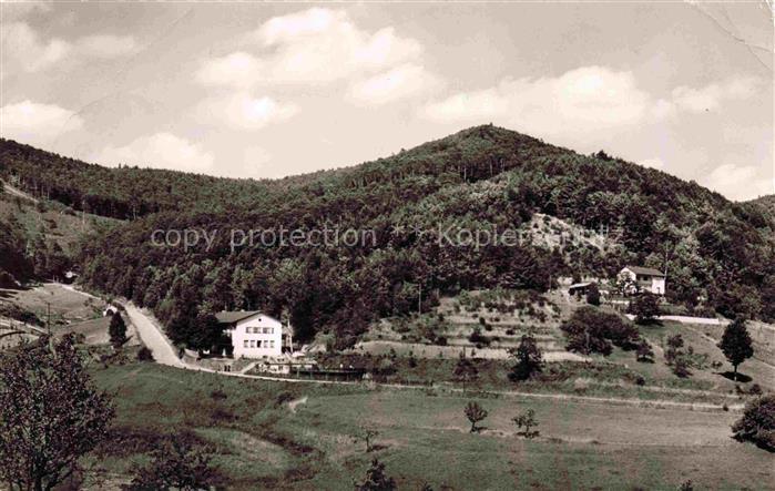 Ramberg  Pfalz Weinstrasse Rheinland-Pfalz Panorama