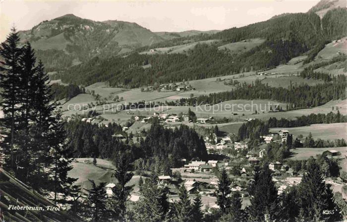 Fieberbrunn Kitzbuehel Tirol AT Panorama