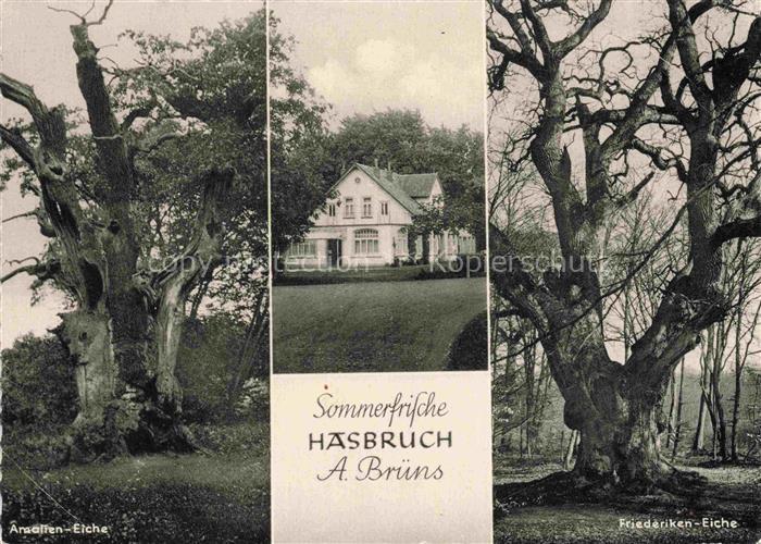 Hasbruch Hude Oldenburg Niedersachsen Sommerfrische Hasbruch Azaleen Eiche Fried