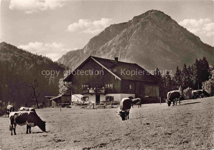 Weissbach Alpenstrasse Schneizlreuth Berchtesgaden Bayern Hoellenbachalm
