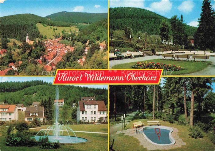 Wildemann Harz Goslar Niedersachsen Fliegeraufnahme Park Fontaene Wassertretanla
