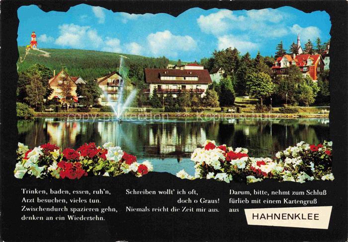 Hahnenklee-Bockswiese Harz Kurteich mit Blick zum Bocksberg