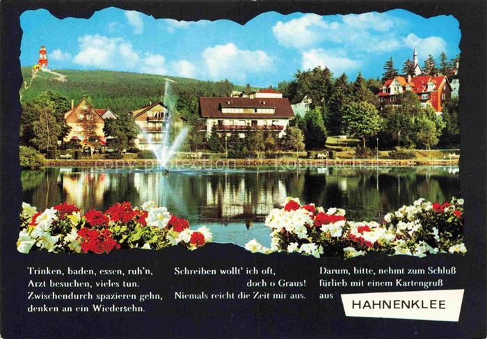 Hahnenklee-Bockswiese Harz Kurparksee mit Bocksbergblick