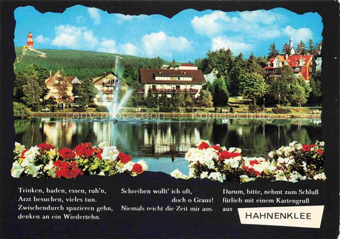 Hahnenklee-Bockswiese Harz Kurparksee mit Bocksbergblick