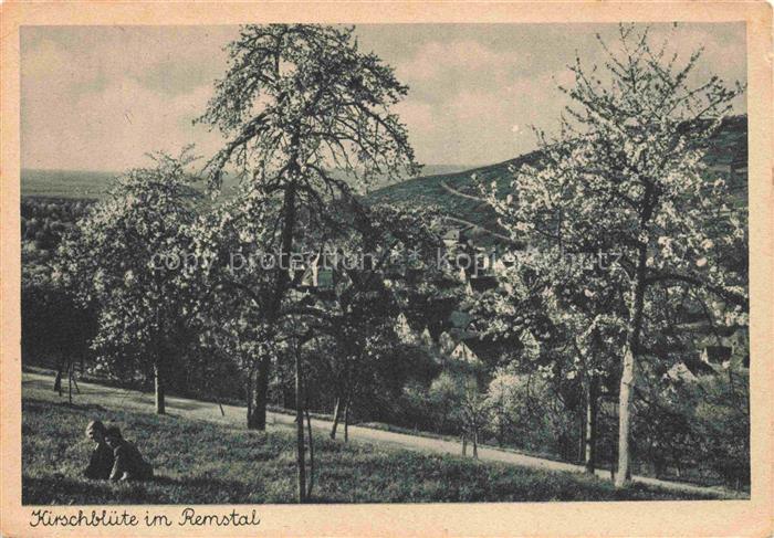 Remstal (Region) Ostalbkreis BW Kirschbluete