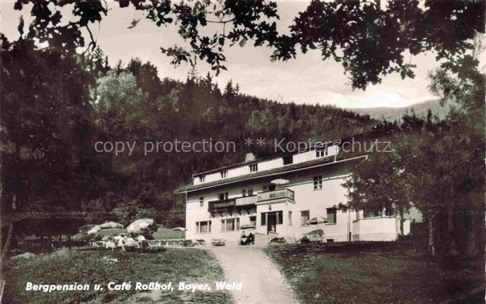 Geigant Waldmuenchen Cham Bayern Bergpension und Cafe Rosshof