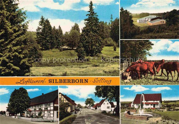 Silberborn Holzminden Solling Niedersachsen Panorama Pferdehof Teilansichten Dor