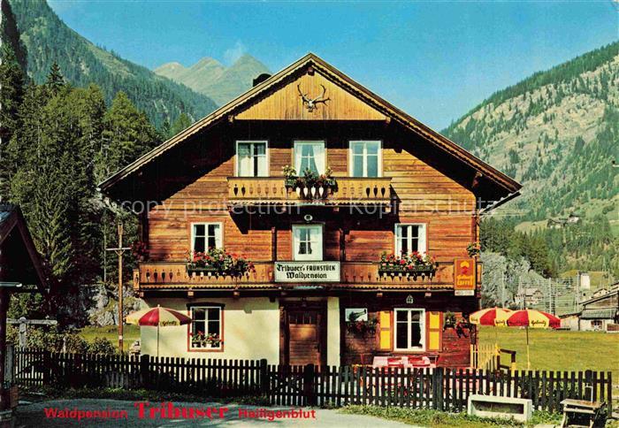 HEILIGENBLUT Kaernten AT Tribusers Waldpension