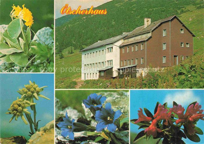 Lackenhof oetscher Gaming Niederoesterreich AT oetscherhaus oesterreichischer To