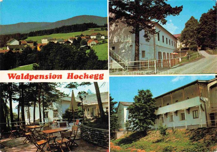 Grimmenstein Edlitztal Niederoesterreich AT Waldpension Hochegg Terrasse Ortsans
