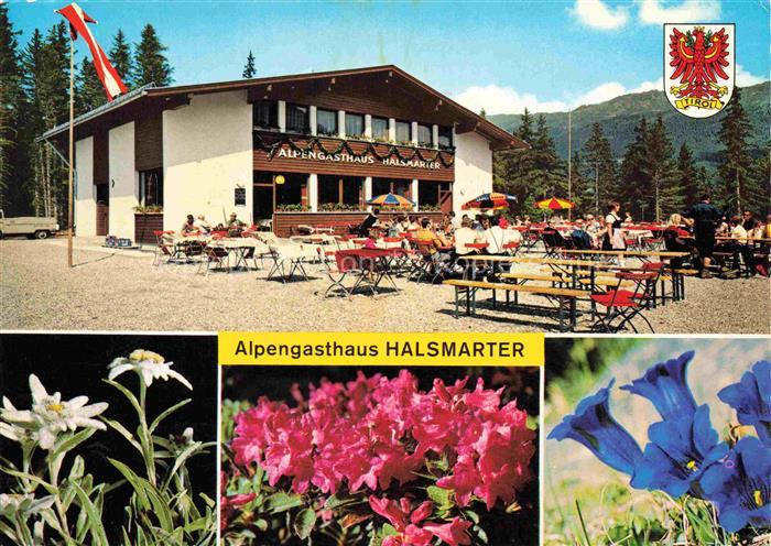 Tulfes Hall Innsbruck Tirol AT Alpengasthaus Halsmarter Terrasse Alpenflora