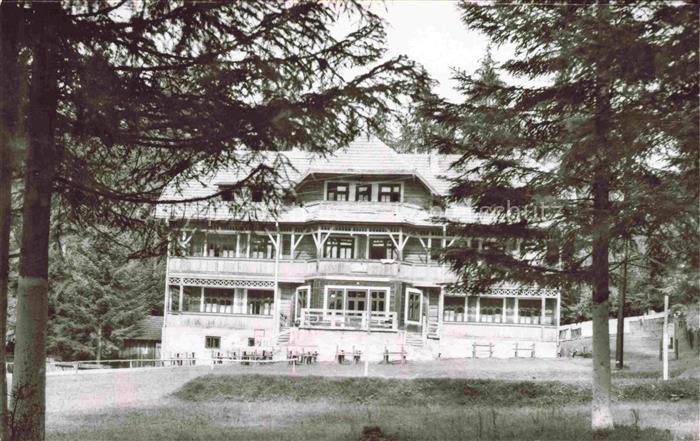 Cimpulung Moldovenesc RO Cabana-Deia Holzgebaeude Bergwald Tannen Berghotel Vera