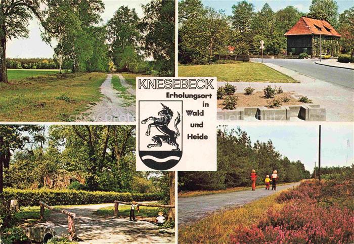 Knesebeck Wittingen Gifhorn Niedersachsen Wald Heide Allee Bach Holzbruecke Wart