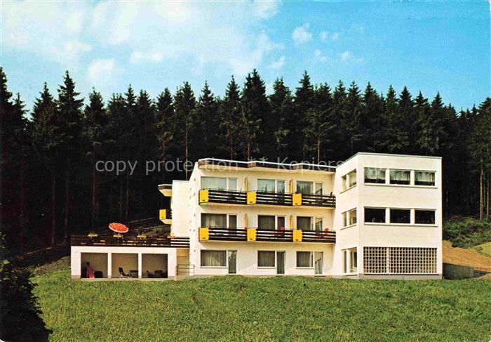 Olsberg Hochsauerlandkreis NRW Hotel-Pension-Preidl Hotelgebaeude Wald Nadelwald