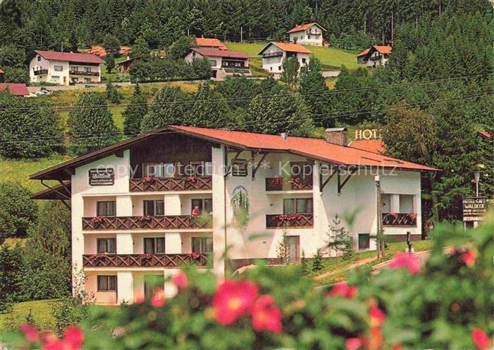 Bodenmais Regen Bayern Ferienhotel-Waldeck Hotel Arberseestrasse Bayerischer-Wal